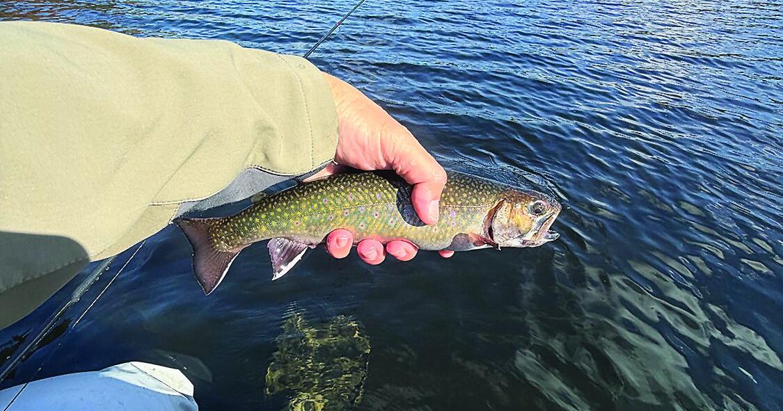North Country Angling - trout in hand on pond