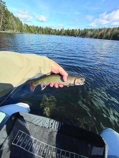 North Country Angling - trout in hand on pond