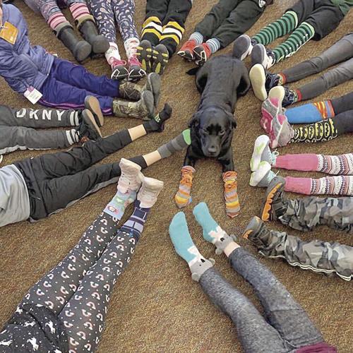 ACTS - Facility dog for education Ember in socks