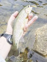 North Country Angling: Trout season recap