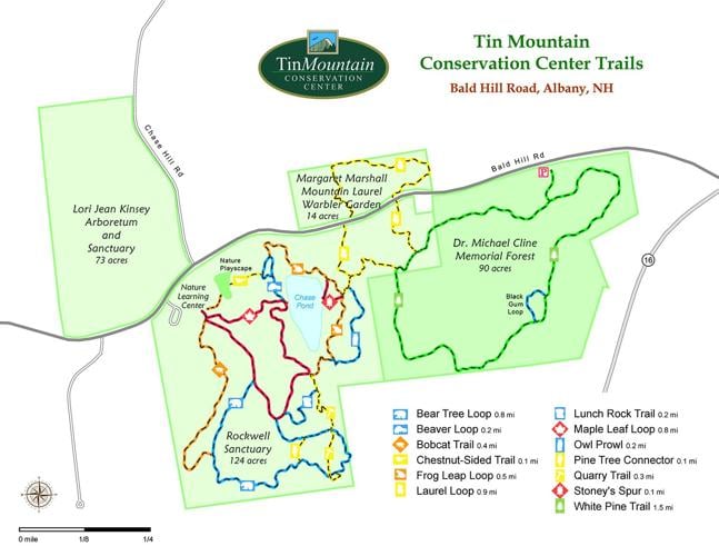 Tin Mountain Wander - Bald-Hill-map-2022.jpg