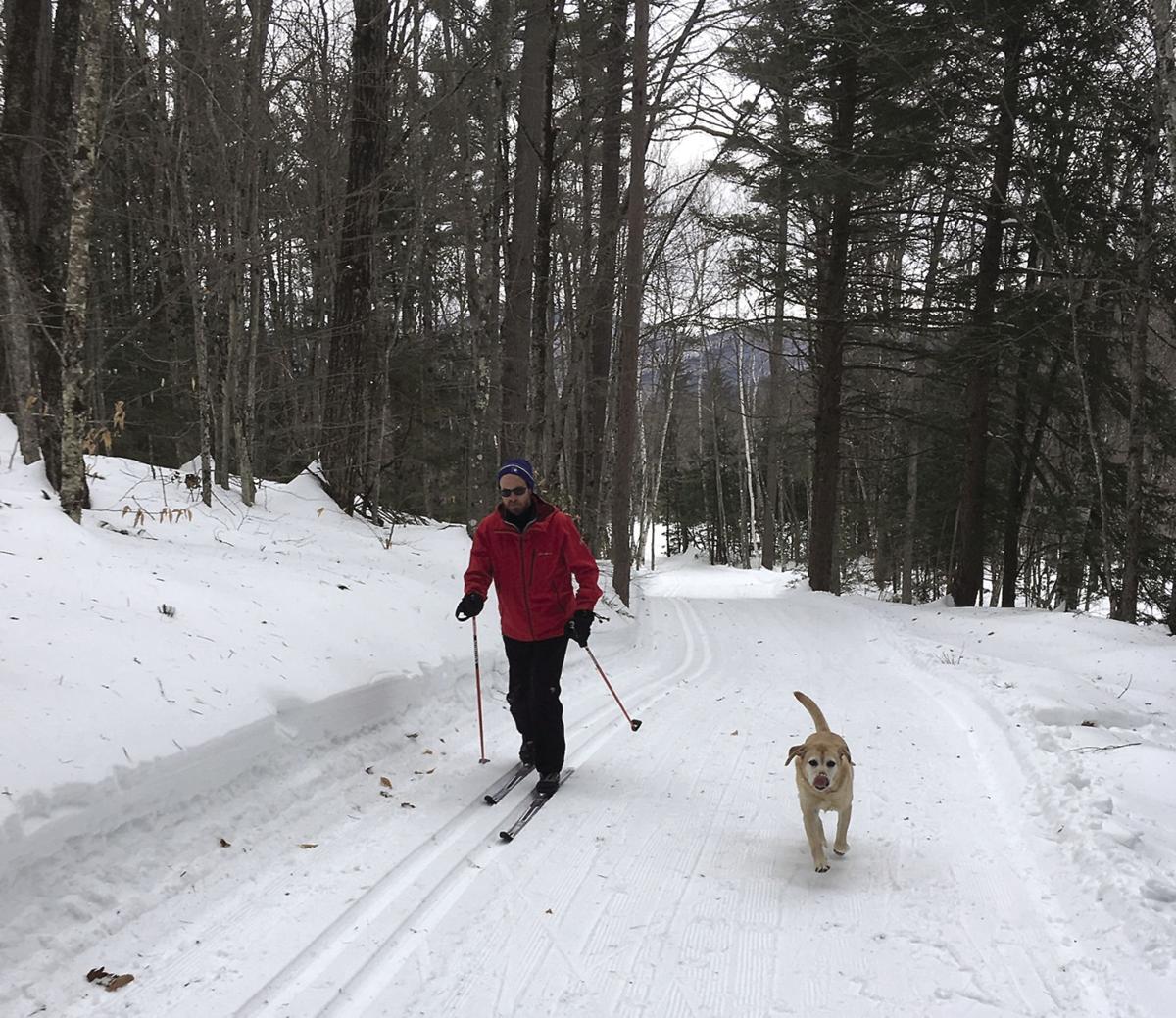 Nordic Tracks Bear Notch Ski Touring Center Skiing Is Believing Cross Country Skiing Conwaydailysun Com