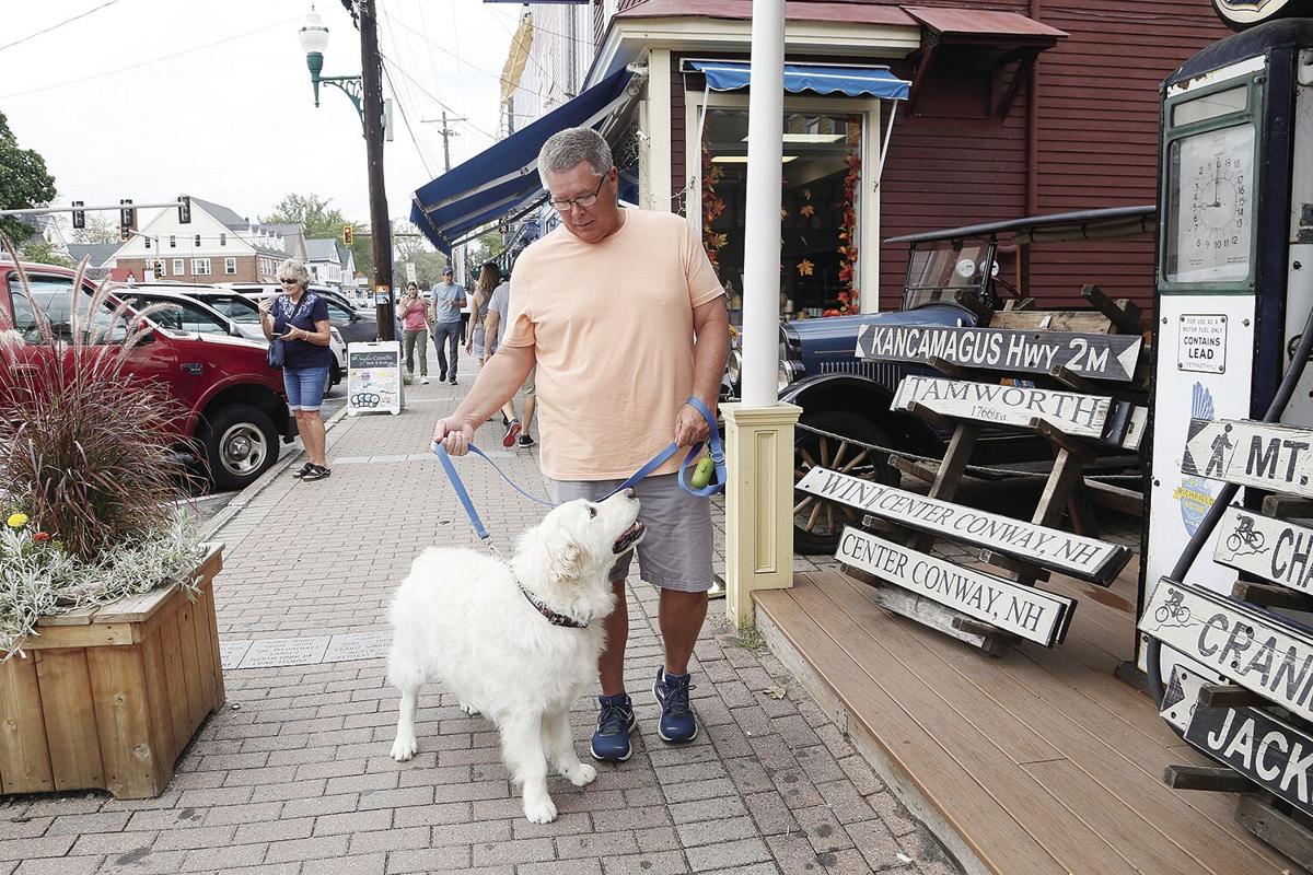 are dogs allowed on mount washington