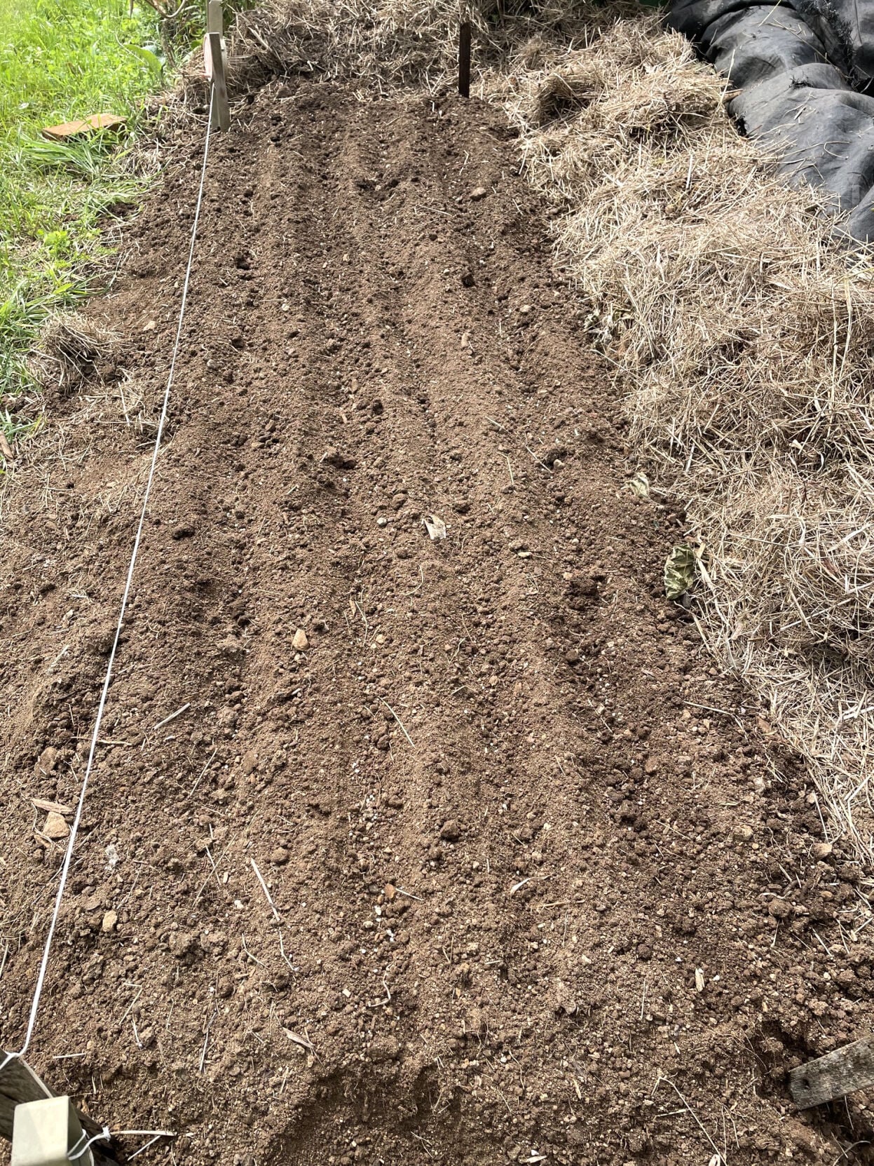 seedbed vertical.jpg