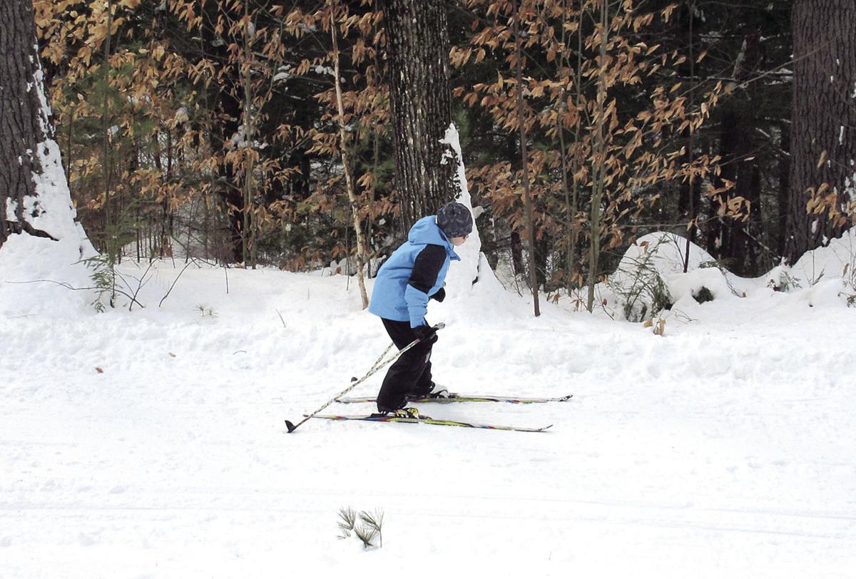 Nordic Tracks Choosing The Right Ski For You Cross Country