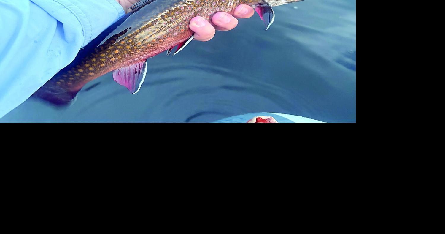 North Country Angling: Hexagenia Limbata Jun 26, 2026 7 mins ago