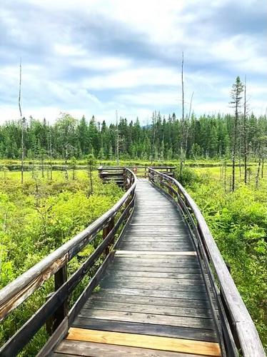 Week's State Park hosts field trip to Mud Pond
