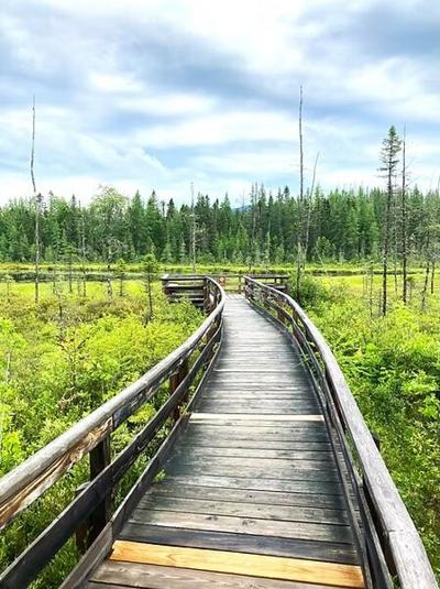 Week's State Park hosts field trip to Mud Pond