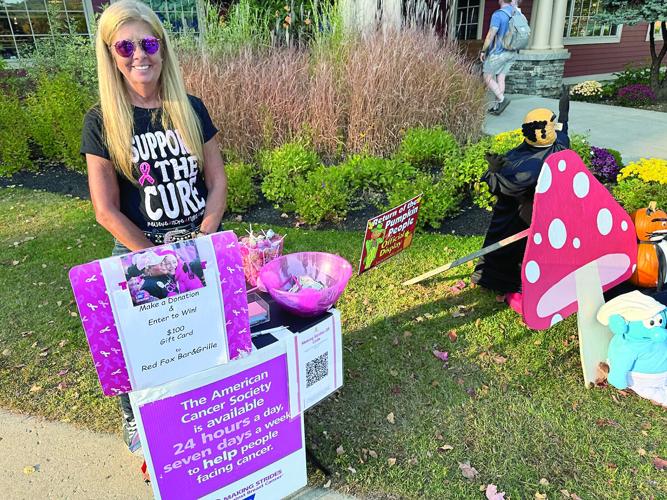 Valley Voice - Heidi Shellmer