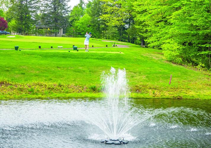 The Golf Column - Hale's Location - Suzanne McCarthy