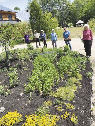 Mountain Garden Club and Tin Mountain Volunteers