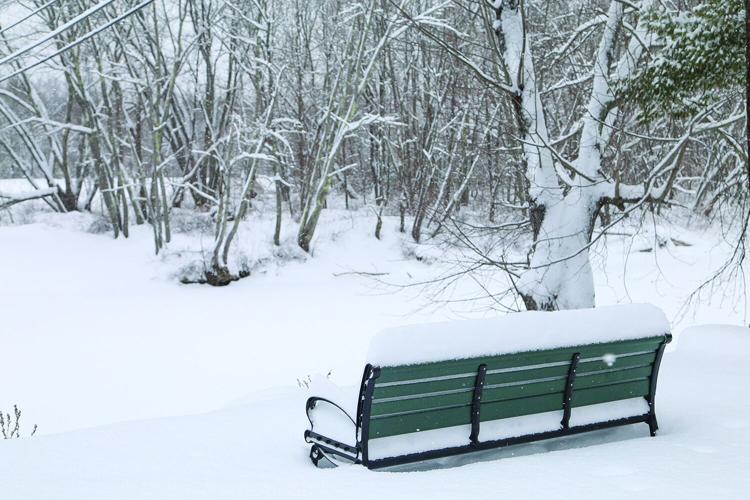 01-26-25 Snowstorm first bridge bench
