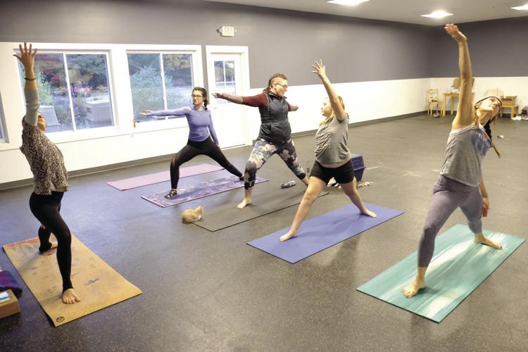 10-11-19 Kitten yoga