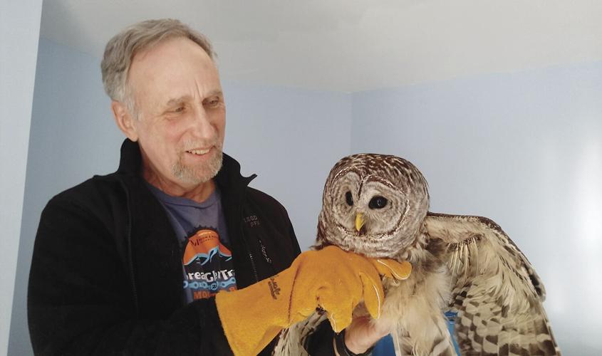 ECCW vet and owl