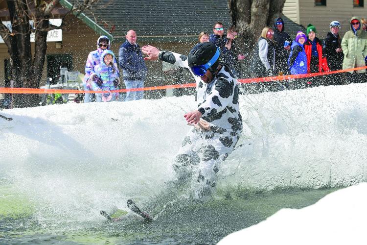 03-29-26 King Pine Pond Skim cow