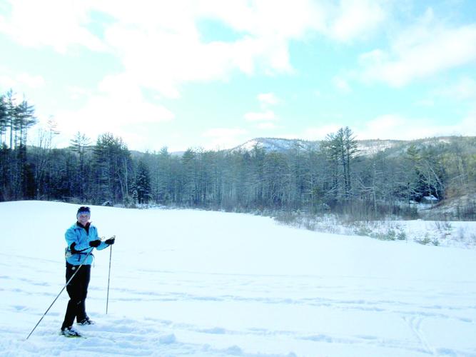Nordic Tracks - Purity Springs - Enchanted Forest Trail