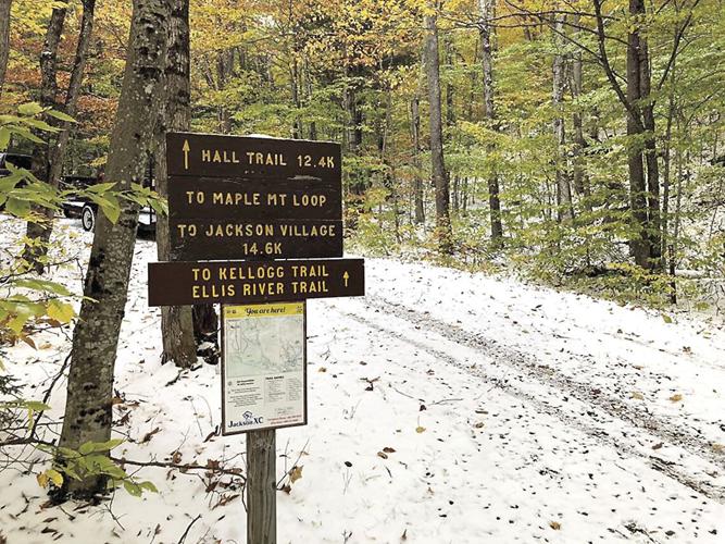 Nordic Tracks - Hall Trail with eary-season conditions