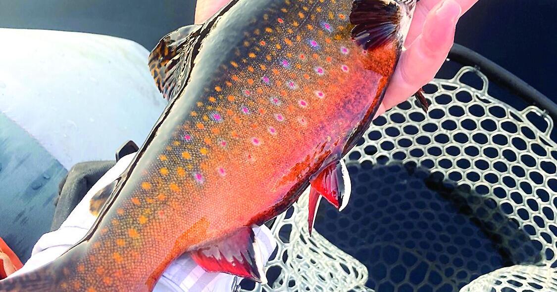 North Country Angling: End-of-trout season musings