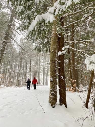 Ski Report - Whitaker Woods snowshoe