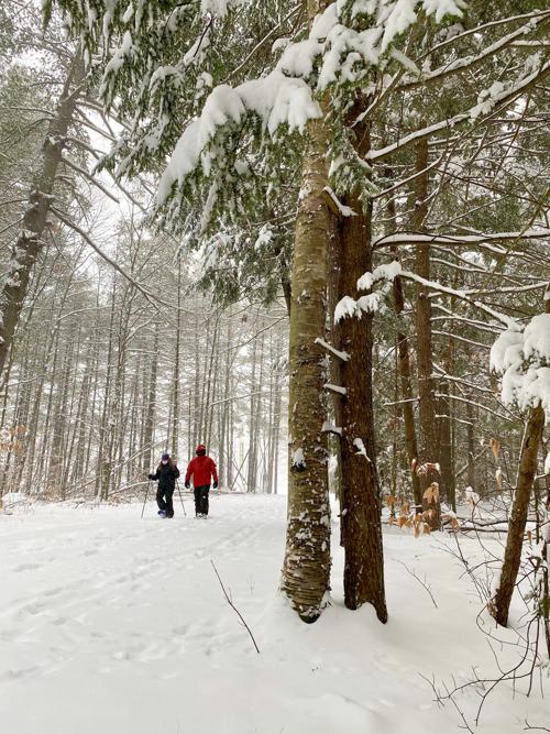 Ski Report Whitaker Woods Snowshoe Conwaydailysun Com