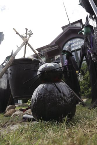 10-05-21 Pumpkins bagels plus tight