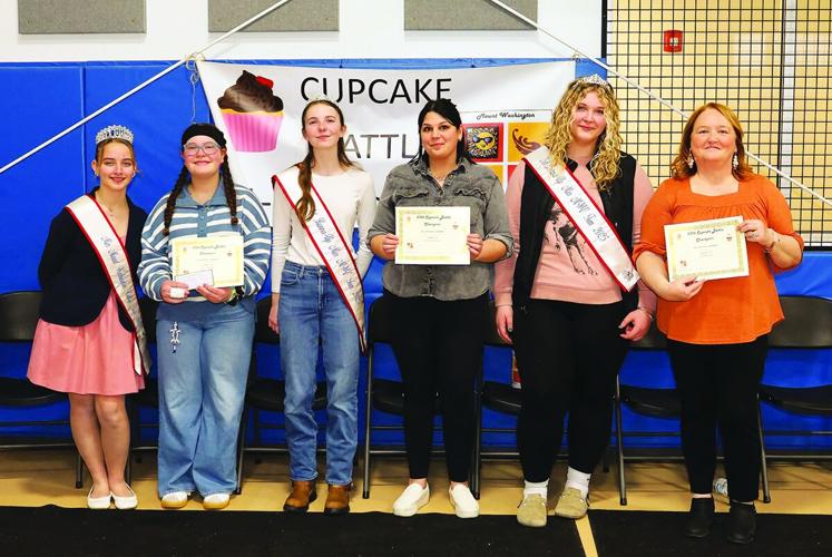 court cupcake winners