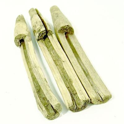 EPO w12 in ye olden times maple syrup taps.tif