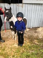 Young equestrian places well in fair competition