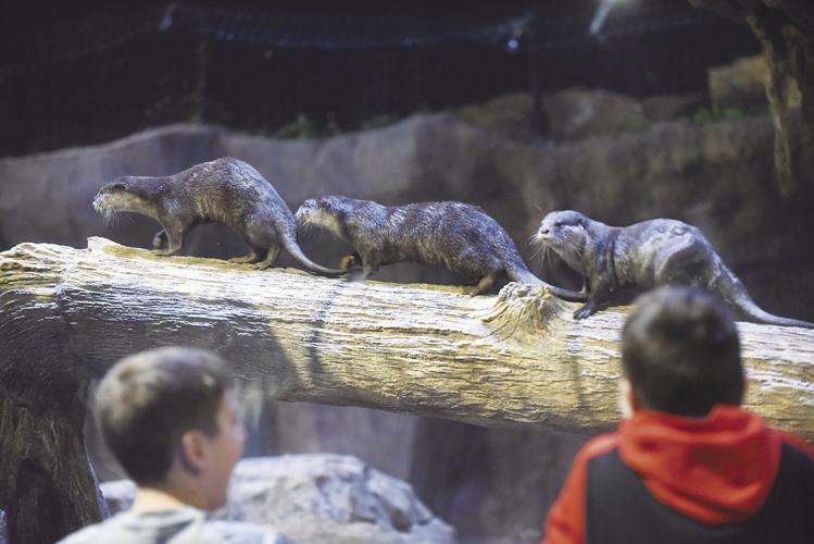 12-20-19 Living shores