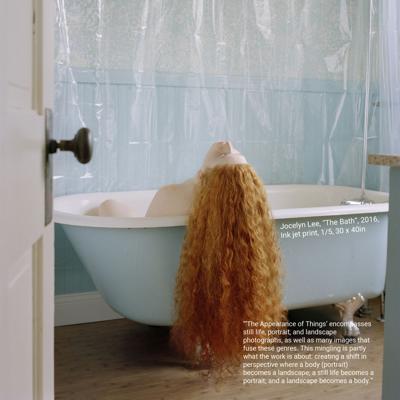 Portland Phoenix | Bathing in Images: The Maine art season celebrates the cultural dominance of photography