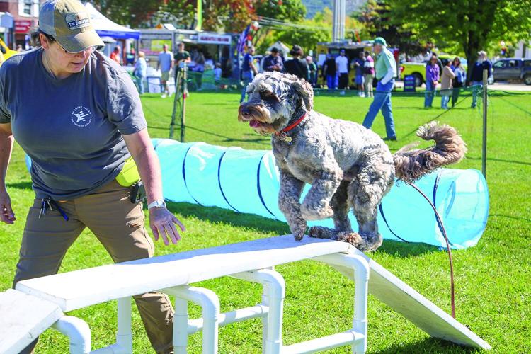 09-20-25 Bark in Park obstacle medium