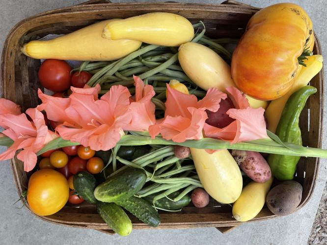 harvest basket.jpg