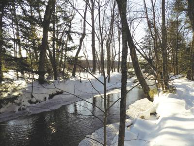1-29-2022 Parsons-the Brook Path