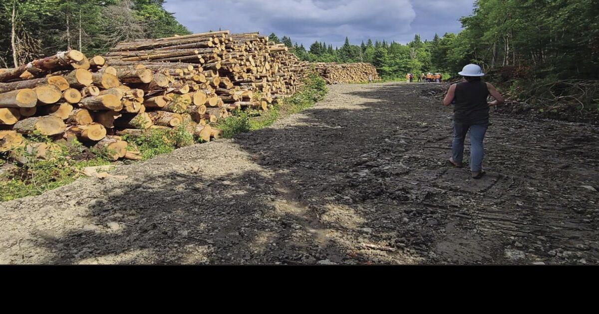 Shaheen urges new Pittsburg land owners to protect logging