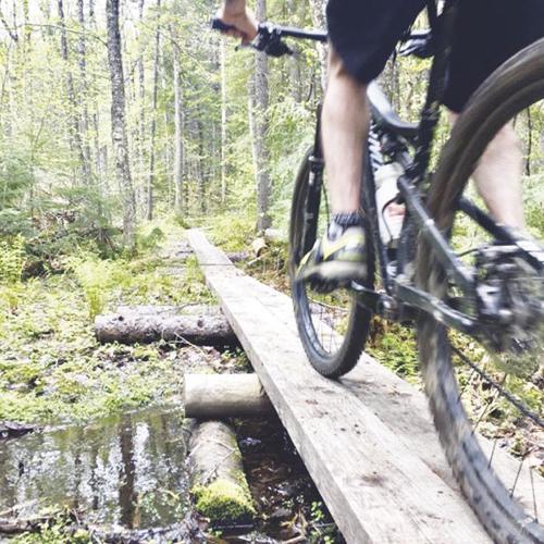 6-11-2020-Basch-Coos Trails Network-2