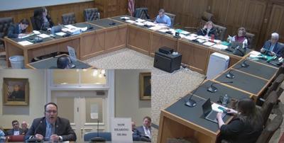 State Sen. David Rochefort is pictured Wednesday, Feb. 18 speaking on SB 664