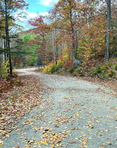 Wheel Family Fun - East Side Ride - downhill on a back road