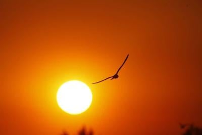 Hottest Septembers in New Hampshire since 1895