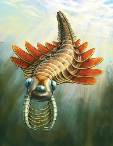 Newly identified three-eyed predator nicknamed the “sea-moth” lived 506M years ago