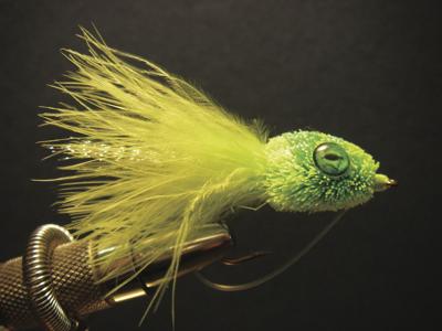 8-1-2020 Valley Anger-Bill's Simple Bass Frog