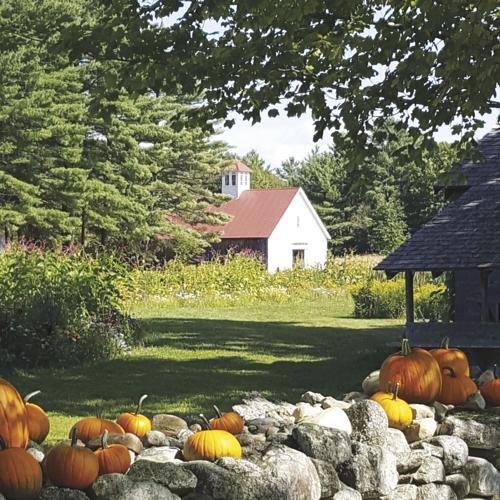 Mary Borowski Photography-1