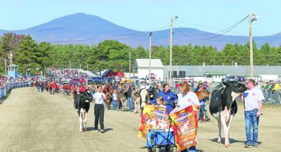 10-04-25 Fryeburg Fair extra wide dairy line