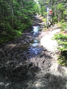 Protect Trails During Mud Season
