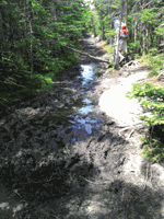 Protect Trails During Mud Season