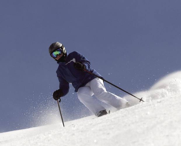 3-15-19 Bluebird.jpg