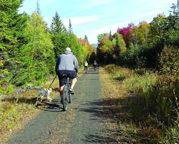 Wheel Family Fun - Fall foliage rides - dog on Presidential Range Rail Trail