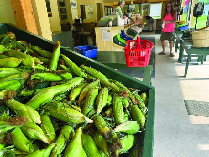 Valley Voice - Weston's Farm Stand corn