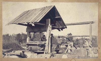 cider