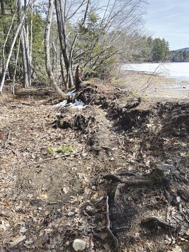 Mudgett stump