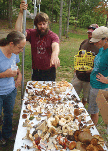 Foraging for New Hampshire's fabulous fungi